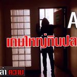 ปกAAV