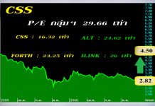 CSS กินรวบงานใหญ่สื่อสาร  ผนึกพันธมิตรฮุบสายไฟภูธร