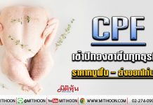 CPF เข้าปีทองขาขึ้นทุกธุรกิจ ราคาหมูฟื้น-ส่งออกไก่บวก (6/01/63)