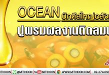 OCEAN บุ๊กดีลใหญ่อสังหาฯ ปูพรมผลงานติดลมบน (17/01/63)
