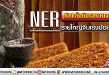 NER ภัยแล้งดันราคายางพุ่ง รายใหญ่จีนเร่งป้อนดีล (29/01/63)
