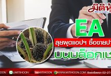 EA ลุยธุรกิจ PCM ตั้งเป้าผลิต 130 ตัน/วัน คาดสร้างรายได้เพิ่มปีนี้กว่า 800 ลบ.