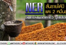 NER ปักธงรายได้ปี 63 แตะ 2 หมื่นลบ. ลุยเดินเครื่องโรงงานใหม่ Q2/63 ขยายกำลังผลิตเท่าตัว รุกไบโอแก๊ส-ออกสินค้าใหม่มาร์จิ้นสูง