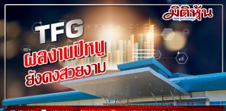 TFGผลงานปีหนูยังคงสวยงาม