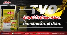 TVO ลุ้นQ4กำไรพีคแตะ430ล. ถั่วเหลืองฟื้น-เป้า34บ. (25/02/63)