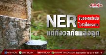 NER ยันออเดอร์แน่น-ไวรัสไม่กระทบ แต่กังวลภัยแล้งฉุด