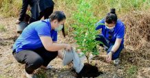 SCN ร่วมโครงการปลูกต้นไม้ หวังฟอกอากาศบริสุทธิ์ ลดฝุ่น PM 2.5 คืนอากาศดีให้ประชาชนในระยะยาว