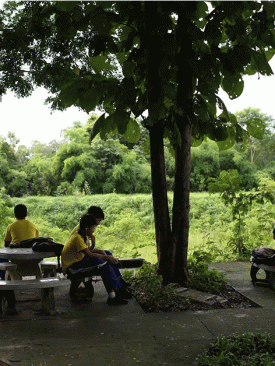 ยูนิเซฟเผยผลกระทบโควิด-19 ต่อเด็กและเยาวชนในประเทศไทย พบเยาวชน 8 ใน 10 คนเครียดด้านปัญหาการเงินของครอบครัวมากที่สุด