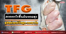 TFG ส่งออกไก่ฟื้นดันยอดพุ่ง ชูสินค้ามาร์จิ้นสูง-งบQ1โต (23/04/63)