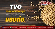TVO ต้นทุนถั่วเหลืองถูก หนุนมาร์จิ้นQ2แรงต่อ