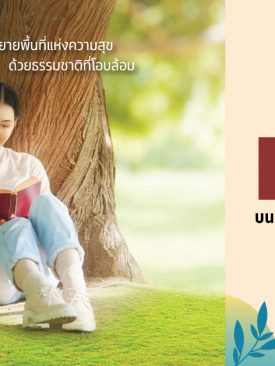 SC เปิดจองโครงการใหม่ เวนิว โฟลว์ ติวานนท์ รังสิต พร้อมโชว์ความสุขบน Space ในบ้าน ‘เวนิว’ หลายทำเลคุณภาพ พร้อมกัน 2 ส.ค