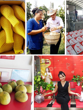 ส่องวิถี 3 เกษตรกรสู้วิกฤต COVID – 19 ผันตัวเป็น “ชาวสวนออนไลน์” “ปลูกเอง แพ็คเอง ส่งเอง” พร้อมผู้ช่วยคนสำคัญ