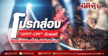 “GFPT-CPF” รับอานินสงส์ไก่บราซิลติดเชื้อไวรัสโควิด-19