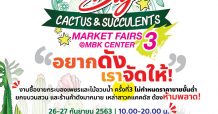 เอ็ม บี เค เซ็นเตอร์ เอาใจสาวกแคคตัสยกสวนมาให้ช้อปกระบองเพชร-ไม้อวบน้ำ
