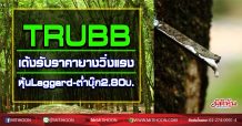 TRUBB เด้งรับราคายางวิ่งแรง หุ้นLaggard-ต่ำบุ๊ก2.80บ. (02/09/63)
