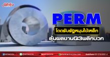 PERM โดดรับรัฐหนุนใช้เหล็ก ลุ้นผลงานQ3พลิกบวก (03/09/63)