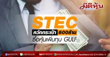 STEC ควักกระเป๋า 600ล้าน ซื้อหุ้นเพิ่มทุน GULF