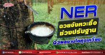 NER ฉวยจังหวะซื้อช่วงปรับฐาน Q3ผลงานโตสุดเหวี่ยง (05/10/63)