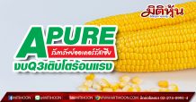 APURE รับทรัพย์ออเดอร์รัสเซีย-งบQ3เติบโตร้อนแรง