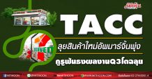TACC ลุยสินค้าใหม่อัพมาร์จิ้นพุ่ง กูรูฟันธงผลงานQ3โตฉลุย