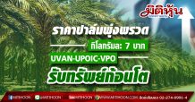 ราคาปาล์มพุ่งพรวดกิโลกรัมละ 7 บาท- UVAN-UPOIC-VPOรับทรัพย์ก้อนโต