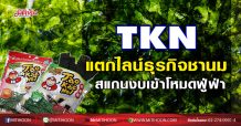 TKN แตกไลน์ธุรกิจชานม  สแกนงบเข้าโหมดฟู่ฟ่า(3/12/63)