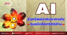 AI รับทรัพย์ปาล์มราคาเด้ง ตุนแบ็กล็อก 500ล้าน