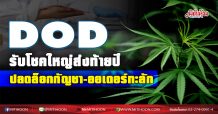 DOD รับโชคใหญ่ส่งท้ายปี ปลดล็อกกัญชา-ออเดอร์ทะลัก (16/12/63)
