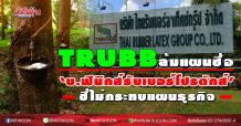 TRUBB ล้มแผนซื้อ`บ.ฟีนิกส์รับเบอร์โปรดักส์ `-ชี้ไม่กระทบแผนธุรกิจ