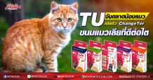 “ไทยยูเนี่ยน” จับตลาดน้องแมว เปิดตัว ChangeTer ขนมแมวเลียที่ไม่ได้แค่ดีต่อใจ แต่ดีต่อไตด้วย