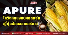 APURE โควิดหนุนงบQ4สุดแจ่ม-ญี่ปุ่นป้อนออเดอร์ยาว