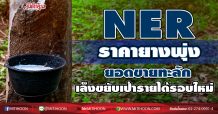 NER ราคายางพุ่ง-ยอดขายทะลัก เล็งขยับเป้ารายได้รอบใหม่ (07/01/64)