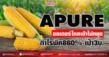 APURE ยอดขายไหลเข้าไม่หยุด กำไรพีค860%-เป้า3บ. (12/01/64)