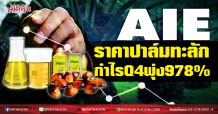 AIE ราคาปาล์มทะลัก กำไรQ4พุ่ง978% (12/01/64)