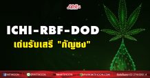 ICHI-RBF-DOD เด่นรับอย.เปิดเสรี “กัญชง”