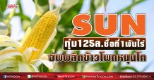 SUN ทุ่ม125ล.ซื้อที่กว่า1พันไร่ อัพผลิตข้าวโพดหนุนโต