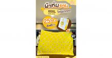 “ซังซัง” จัดกิ๊ฟท์เซ็ทสุดคิวท์ ผ้าห่มซังซัง ผืนใหญ่ไชส์ XXXL เซ็ทสุดคุ้ม 259 บาท