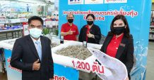 แม็คโคร ช่วยเหลือเกษตรกรผู้เลี้ยงกุ้งรายย่อย ระบายผลผลิต 1 เดือน 1,200 ตัน