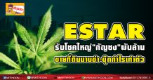 ESTAR รับโชคใหญ่”กัญชง”พันล้าน ขายที่ดินมาบข่า-บุ๊กกำไรเท่าตัว