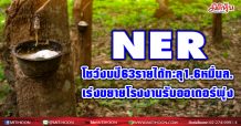 NER โชว์งบปี63รายได้ทะลุ1.6หมื่นล. เร่งขยายโรงงานรับออเดอร์พุ่ง