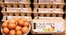 เซ็นทรัล ฟู้ด รีเทล ประกาศสนับสนุนหลักสวัสดิภาพสัตว์ ตั้งเป้าเพิ่มสัดส่วนจำหน่ายไข่ไก่เคจฟรี