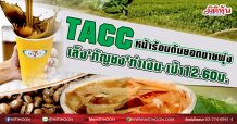 TACC  หน้าร้อนดันยอดขายพุ่ง  เล็ง‘กัญชง’ทำเงิน-เป้า12.60 บ. (19/03/64)