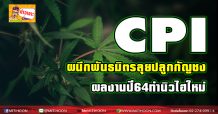 CPI ผนึกพันธมิตรลุยปลูกกัญชง-ผลงานปี64ทำนิวไฮใหม่