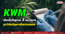 KWM เซ็นเอ็มโอยูร่วม 3 หน่วยงาน รุก ‘โครงการศึกษาวิจัยกัญชาเพื่อประโยชน์ทางการแพทย์’ ระยะเวลา 3 ปี