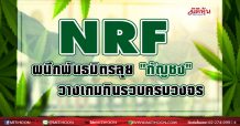 NRFผนึกพันธมิตรลุย “กัญชง” วางเกมกินรวบครบวงจร