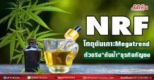 NRF โตดุดัน! เกาะMegatrend ตัวจริง”ต้นน้ำ”ธุรกิจกัญชง