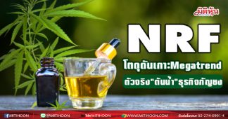 NRF โตดุดัน! เกาะMegatrend ตัวจริง”ต้นน้ำ”ธุรกิจกัญชง