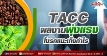 TACC ผลงานพุ่งแรง โบรกแนะเก็งกำไร