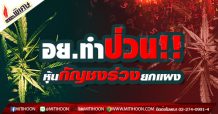 อย.ทำป่วน!!! หุ้นกัญชง ร่วงยกแผง
