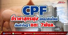 CPF ชี้ราคาสุกรพุ่ง-บุ๊กธุรกิจใหม่ ดันกำไรQ1แตะ 7พันล.